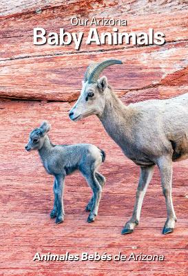 Our Arizona: Baby Animals: Baby Animals