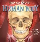 Pop-up Facts: Human Body