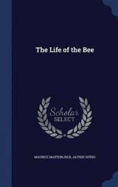 The Life of the Bee