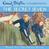 Shock for the Secret Seven