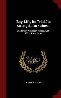Boy-Life, Its Trial, Its Strength, Its Fulness: Sundays in Wellington College, 1859-1873: Three Books
