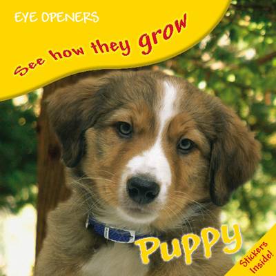 Puppy