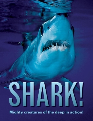 Shark!: Mighty creatures of the deep in action!