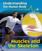 Understanding the Human Body: Muscles and Skeleton