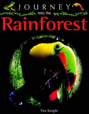 Journey into the Rainforest