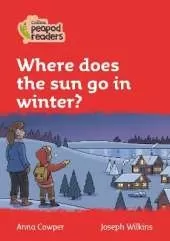 Where does the sun go in winter?: Level 5