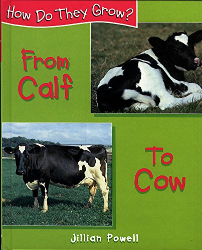 How Do They Grow: Calf To Cow