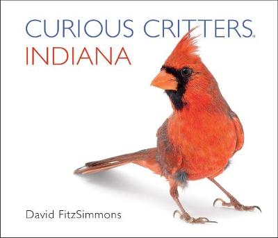 Curious Critters Indiana