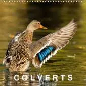 Colverts: 13 Portraits Colores de Canards Colverts