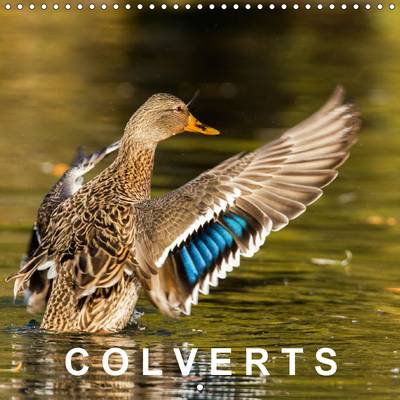 Colverts: 13 Portraits Colores de Canards Colverts