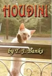 Houdini