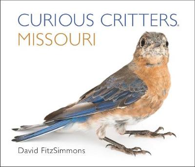 Curious Critters Missouri