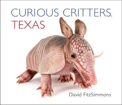 Curious Critters Texas