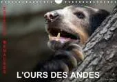 L'Ours des Andes. Especes Menacees 2017: Sur la Piste de l'Ours des Andes, dans les Hautes Montagnes de l'Equateur