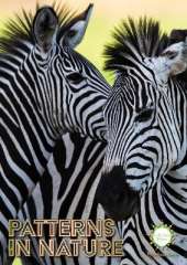 Patterns in Nature