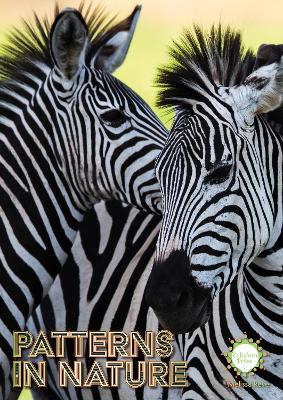 Patterns in Nature