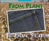 From Plant to Blue Jeans