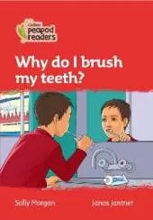 Why do I brush my teeth?: Level 5