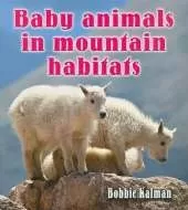 Baby Animals in Mountain Habitats
