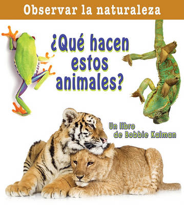 Que Hacen Esto Animales?