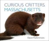 Curious Critters Massachusetts