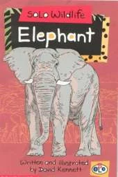 Solo Wildlife: Elephant