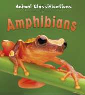 Animal Classification