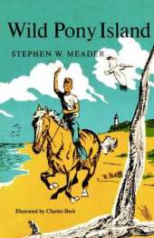 Wild Pony Island