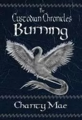 The Custodian Chronicles: Burning