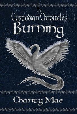 The Custodian Chronicles: Burning