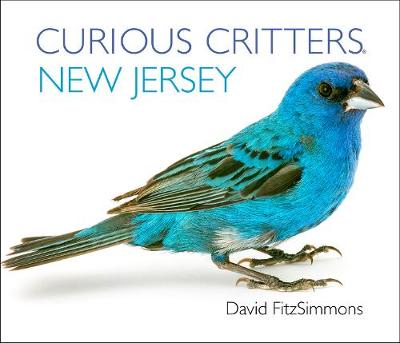 Curious Critters New Jersey