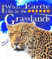 Grassland