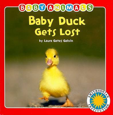 Baby Duck Gets Lost