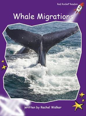 Whale Migrations