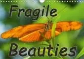 Fragile Beauties - Exotic butterflies 2019: Spellbinding photos of various exotic butterflies in their natural habitat.