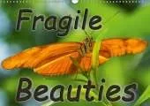 Fragile Beauties - Exotic butterflies 2019: Spellbinding photos of various exotic butterflies in their natural habitat.