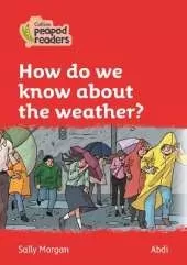 How do we know about the weather?: Level 5
