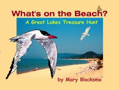 What's On the Beach?: A Great Lakes Treasure Hunt