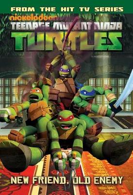 Teenage Mutant Ninja Turtles Animated Volume 2 Never Say Xever / The Gauntlet