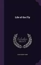 Life of the Fly