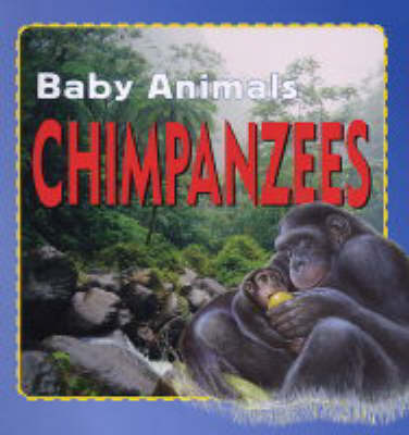 Chimpanzees