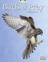 Bug Club Non-fiction White A/2A Birds of Prey 6-pack: Birds of Prey 6-pack