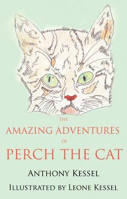 The Amazing Adventures of Perch the Cat