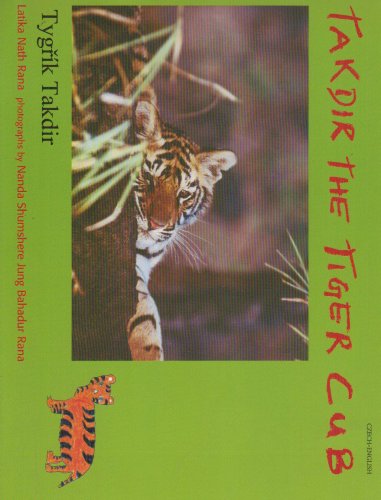 Takdir the Tiger Cub