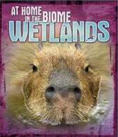 Wetlands