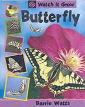 Watch It Grow: Butterfly