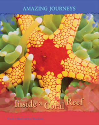 Inside a Coral Reef