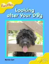 Oxford Reading Tree: Stage 5: Fireflies: Looking After Your Dog