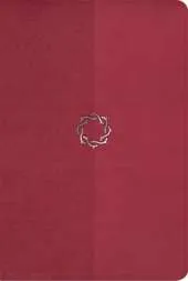 The HCSB Essential Teen Study Bible