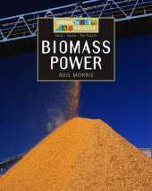 Energy Sources: Biomass Power
